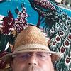 vergelea.iulian