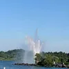 liveaccdelia8253