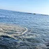 s.s.b.k.k