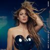 fandeshakira48044