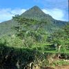 priyangi.perera