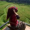 araa.tiaa3