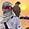 veim_de_bh_00