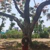 newarnii__nani6