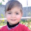 mushtak629