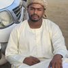 osman_askndr0