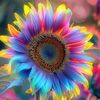 .sunflower309