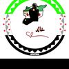 user4781634008677