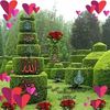 user571231291813