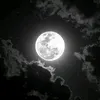 mhemad231