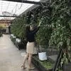 nng.xinh64