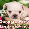 user24573723312888