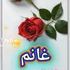 user8391276851191