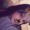 .eumariaxx
