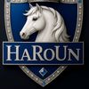 mohamed.haroun28