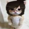 bonkkchoii