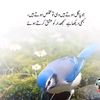 paglipagli008