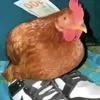 marcos_eosd
