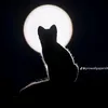 .mahmoud.kh