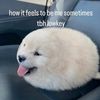 aewlvr