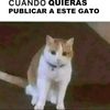 axel.ordoez21