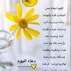 rawan.shlli