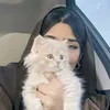 t_7sg0