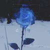 dirzllqueue