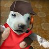 bonk_dog117