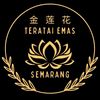 _terataiemas