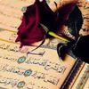 soha.foad0