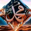 user11411085600811