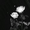 mellong_yaw