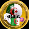blg394