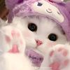 user90130995201185