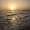 waleed5069