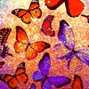 user1170162505447