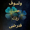 user4666843052290