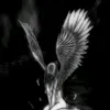 dashkins_qs_