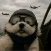 aviationswetzeland