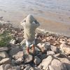 user2162551108142