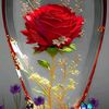 user84786611612304
