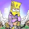 nicolayflorex