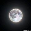 user3114506887144