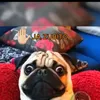 user147516425