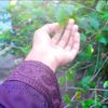 user8245819370855