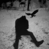 sil_l5c
