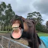 5keppy
