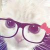 nagham.nasif