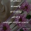 user18108393294304